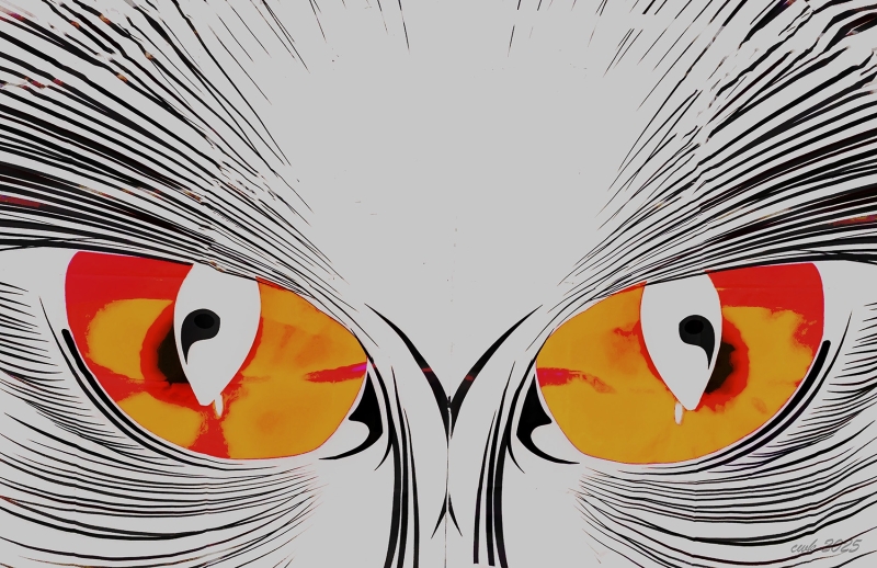 Cat’s Eyes by artist Charlie Kreitler